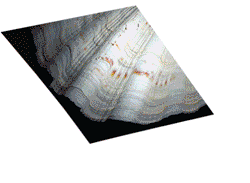 büo für visuelle gestaltung bfvg zürich